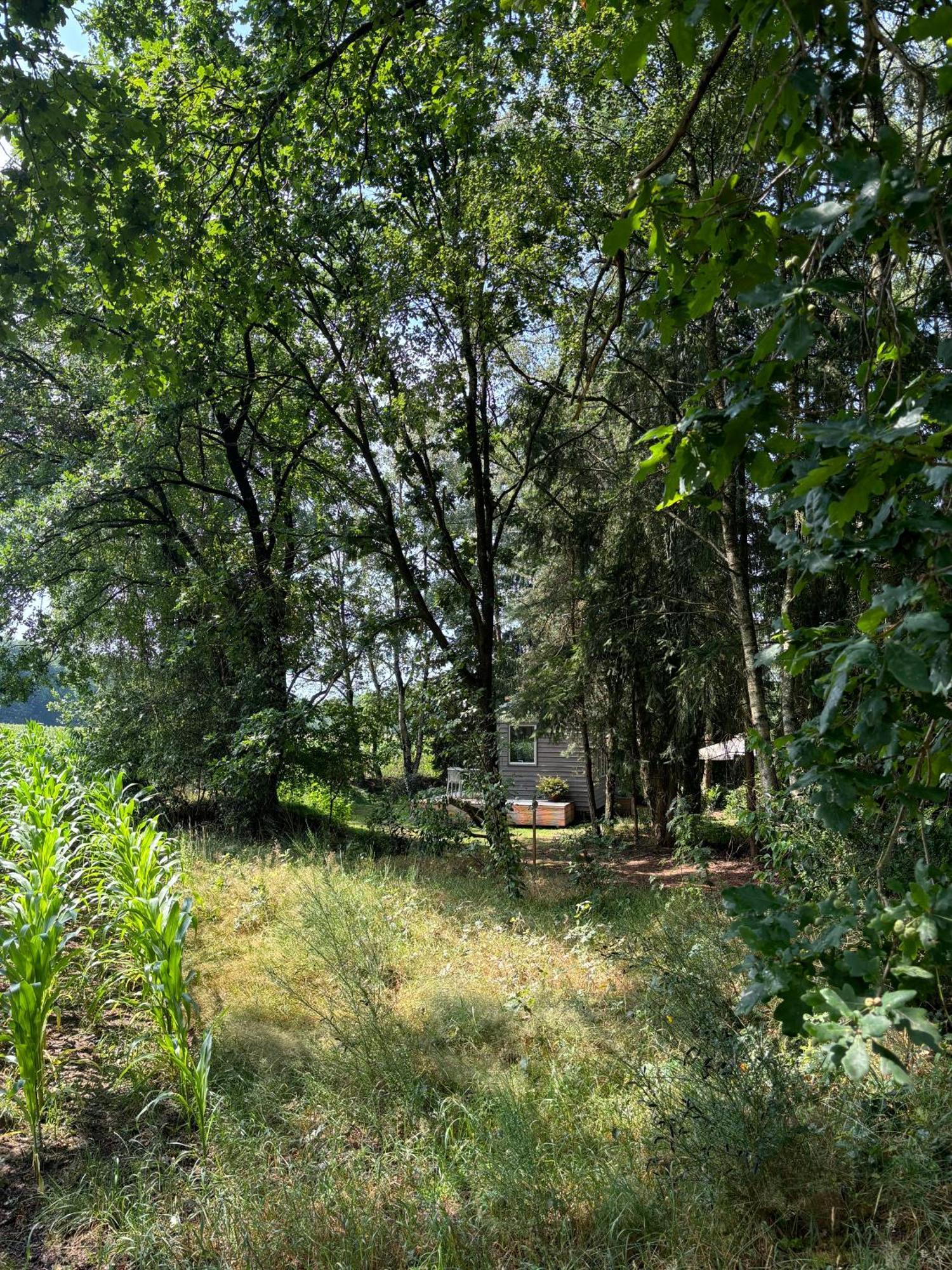 Tiny House Mit Garten In Der Lueneburger Heide Soltau Luaran gambar